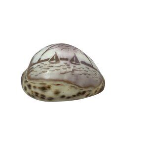 Handcrafted Morro Bay Souvenir Polished Cowrie Shell Engraved Nautical Scene